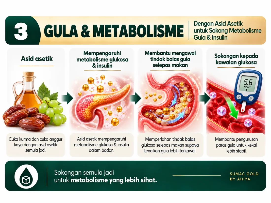 Gula & Metabolisme