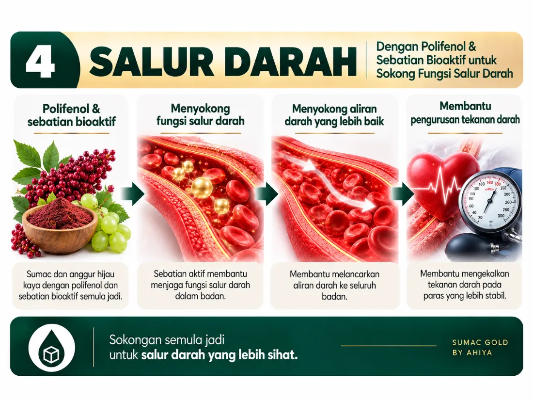 Salur Darah