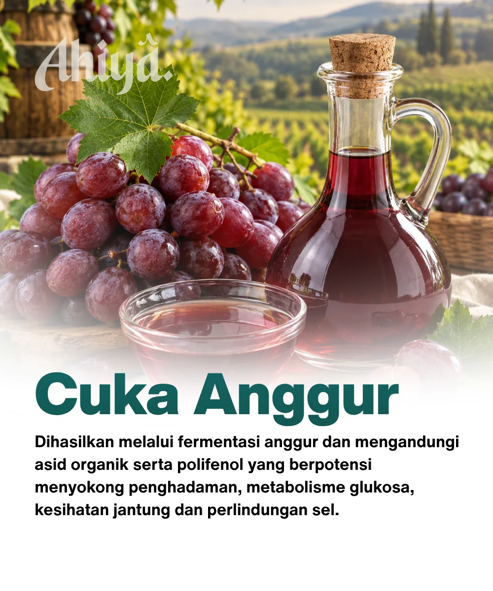 Cuka Anggur