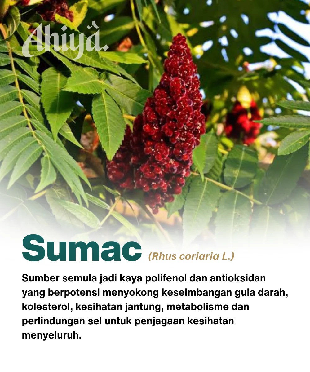 Sumac